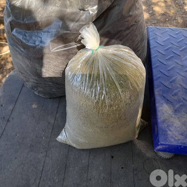 زعتر بلدي محوج ـ جودة عالية ـ ١كغ 1