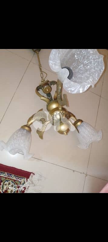 صيدا بيساريه 0