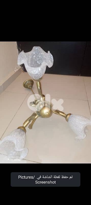 صيدا بيساريه 3