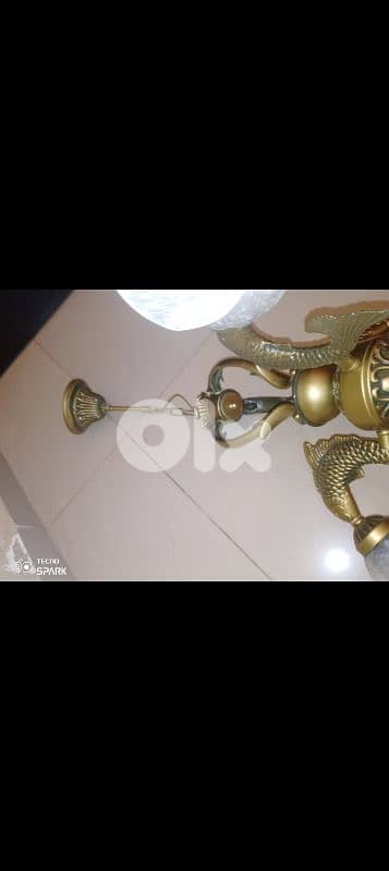 صيدا بيساريه 4