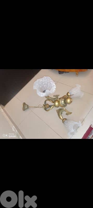 صيدا بيساريه 5