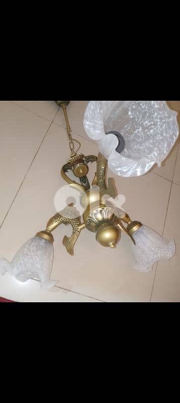 صيدا بيساريه 6