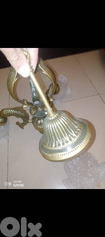 صيدا بيساريه 7