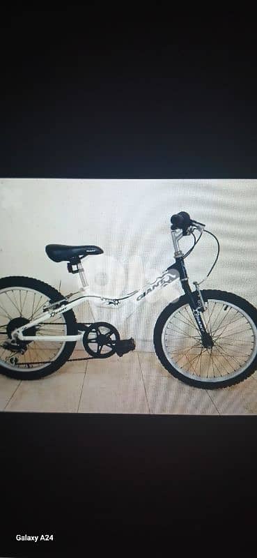 الظريف بيروت الصنايع شارع الوتوات