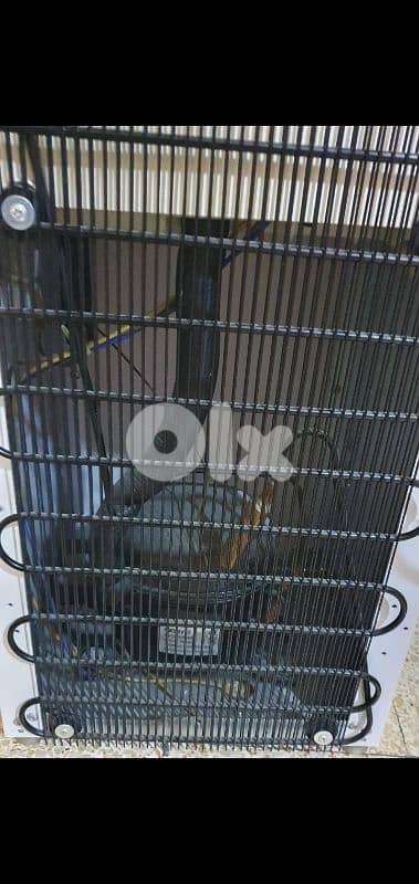 Media cooler very neat and used a little time  and like new beyrut 60$ 4