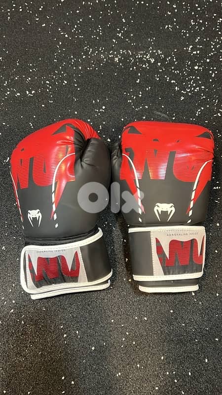 core boxing Gloves 4