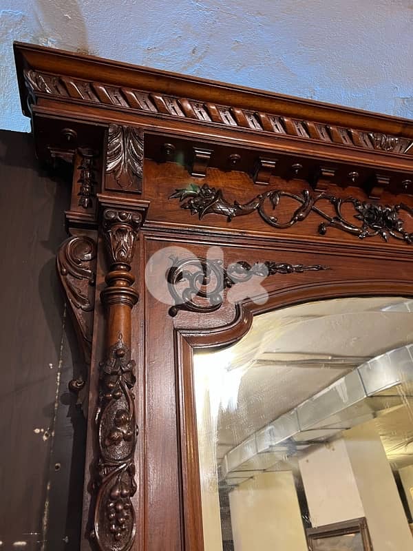 جاردينيار انتيك 7