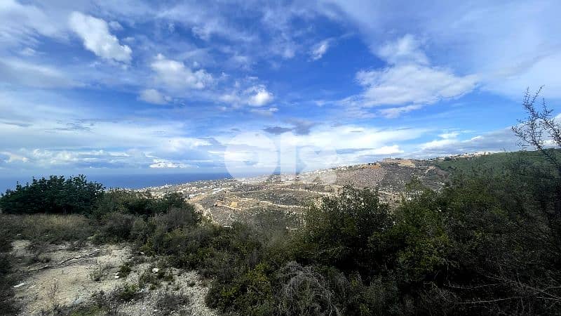RWB324CA - Land for sale in Hboub Jbeil 1