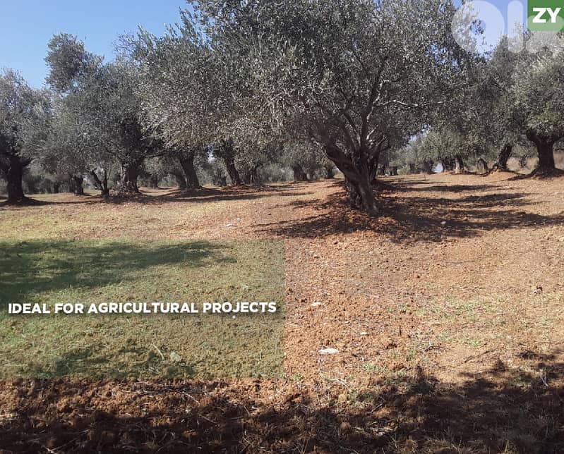 Ideal For Agricultural Projects - Zgharta- Alma REF#ZY130158 0