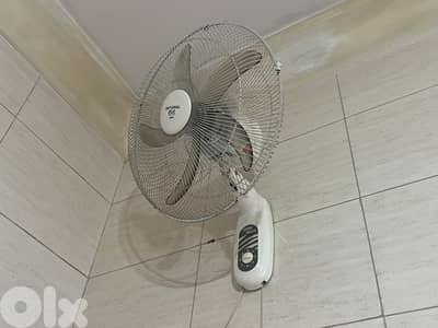 Wall Fan Great Quality Functional مروحة حائط عالية الجودة