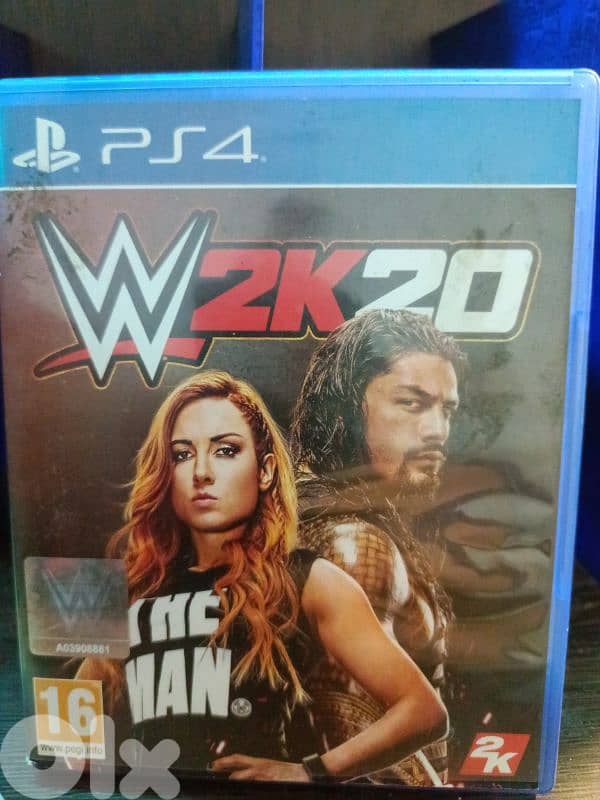 Ps4 fat 2 terra used like new 2