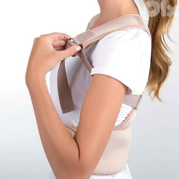 back support-مشد ضهر 1