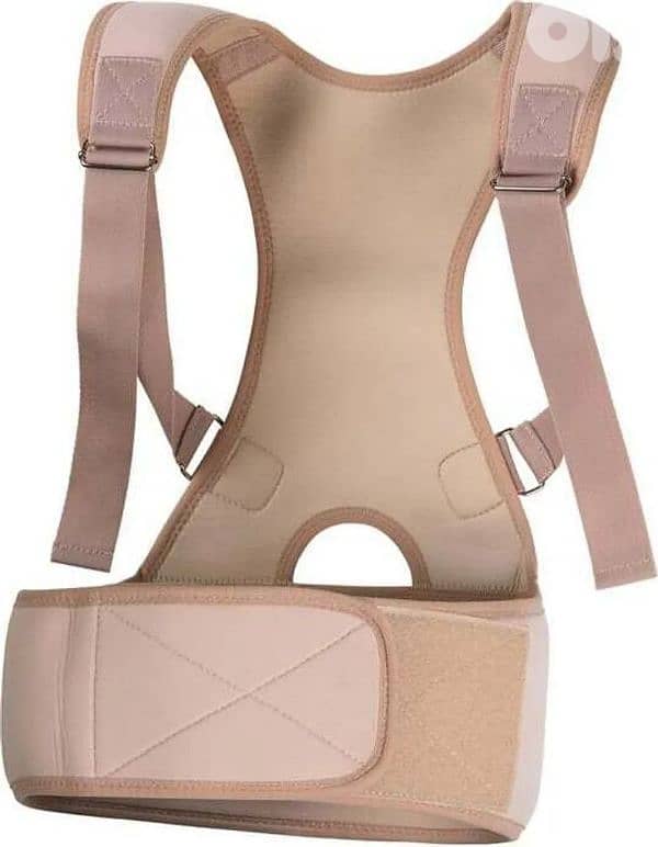 back support-مشد ضهر 5