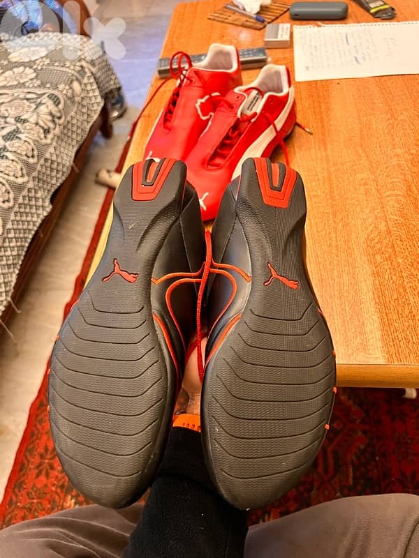 puma/ ferrari original shoes 9