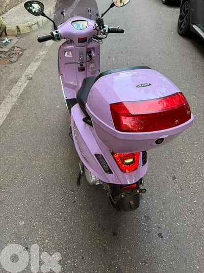 بيروت قصقص ٧٠٠٠٤٤٣