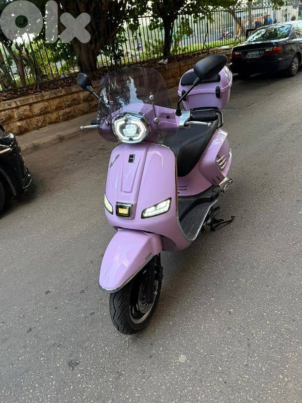 بيروت قصقص ٧٠٠٠٤٤٣ 2