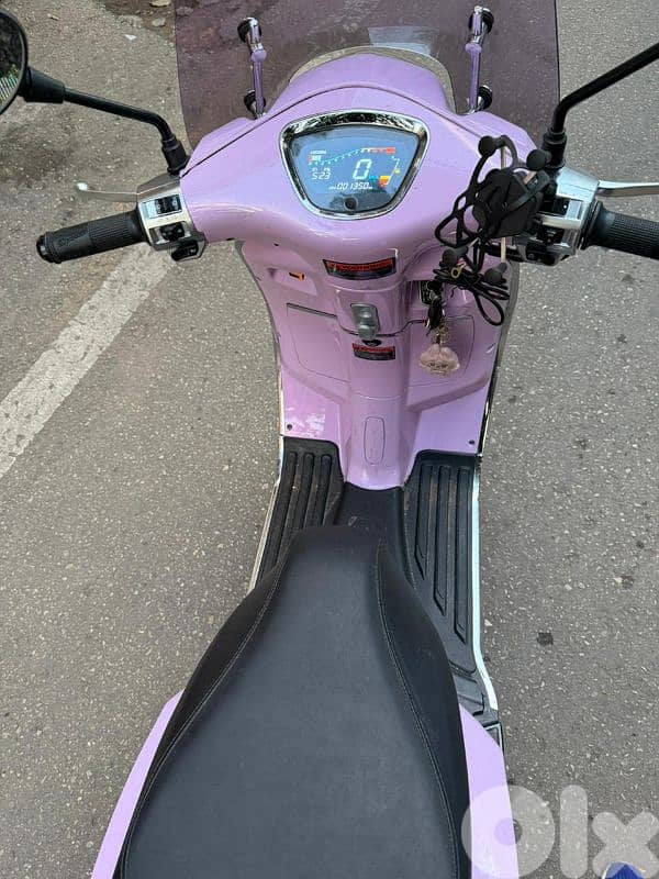 بيروت قصقص ٧٠٠٠٤٤٣ 3