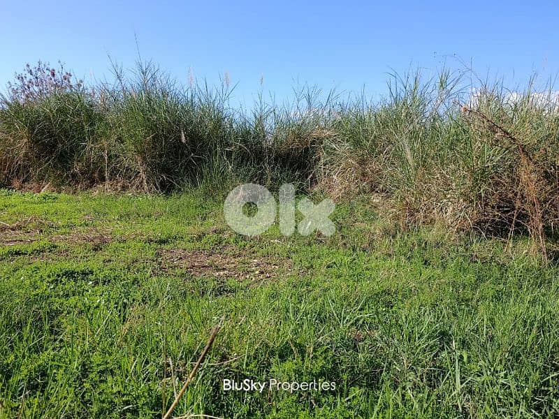 Land For SALE In Naher Ibrahim أرض للبيع #ES 1