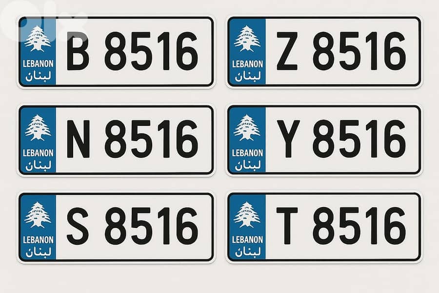 N B Z Y S T 8516 for sale. 0