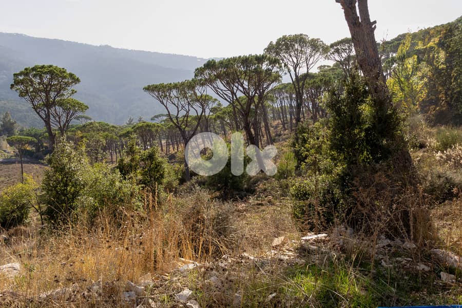 Development Land in Baabdat/Oyoun - أرض استثمارية مميزة في بعبدات–عيون 1