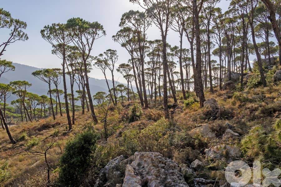 Development Land in Baabdat/Oyoun - أرض استثمارية مميزة في بعبدات–عيون 2