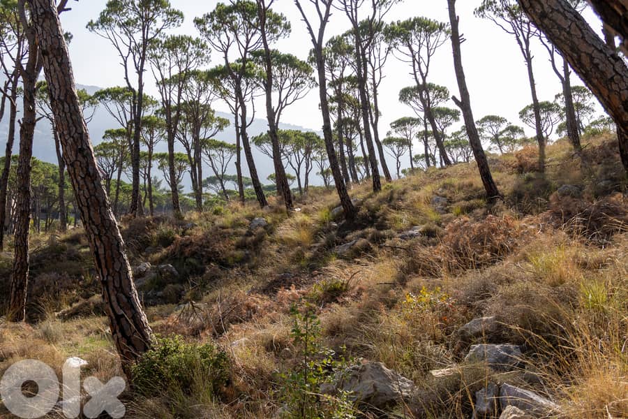 Development Land in Baabdat/Oyoun - أرض استثمارية مميزة في بعبدات–عيون 3