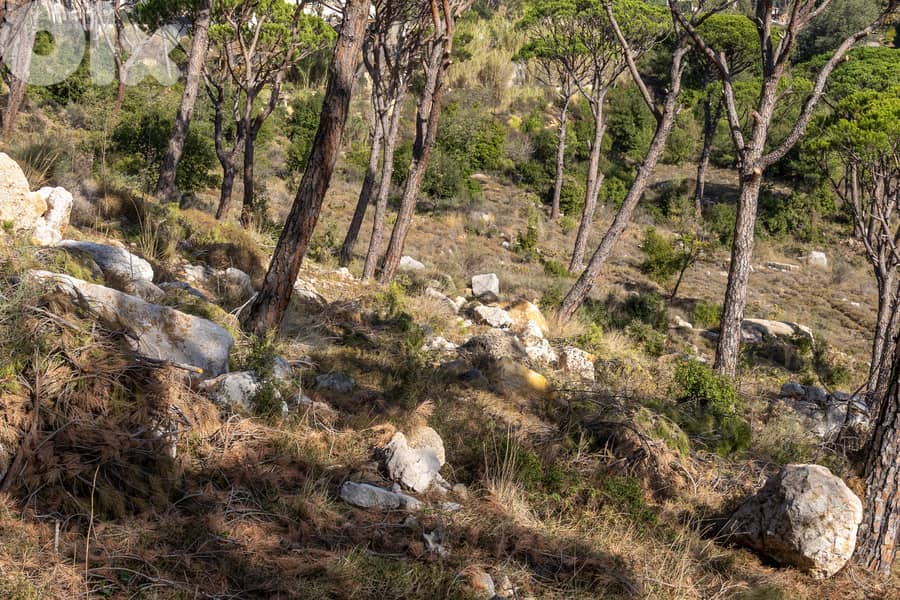 Development Land in Baabdat/Oyoun - أرض استثمارية مميزة في بعبدات–عيون 4