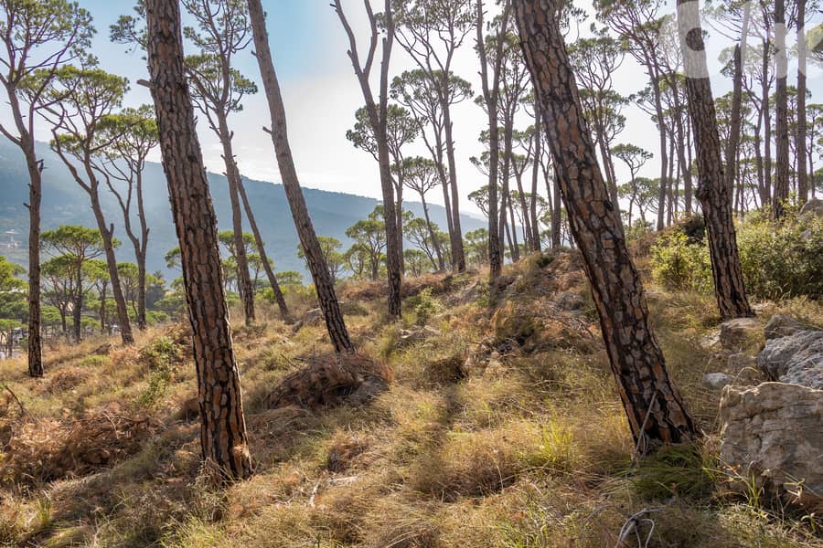 Development Land in Baabdat/Oyoun - أرض استثمارية مميزة في بعبدات–عيون 5