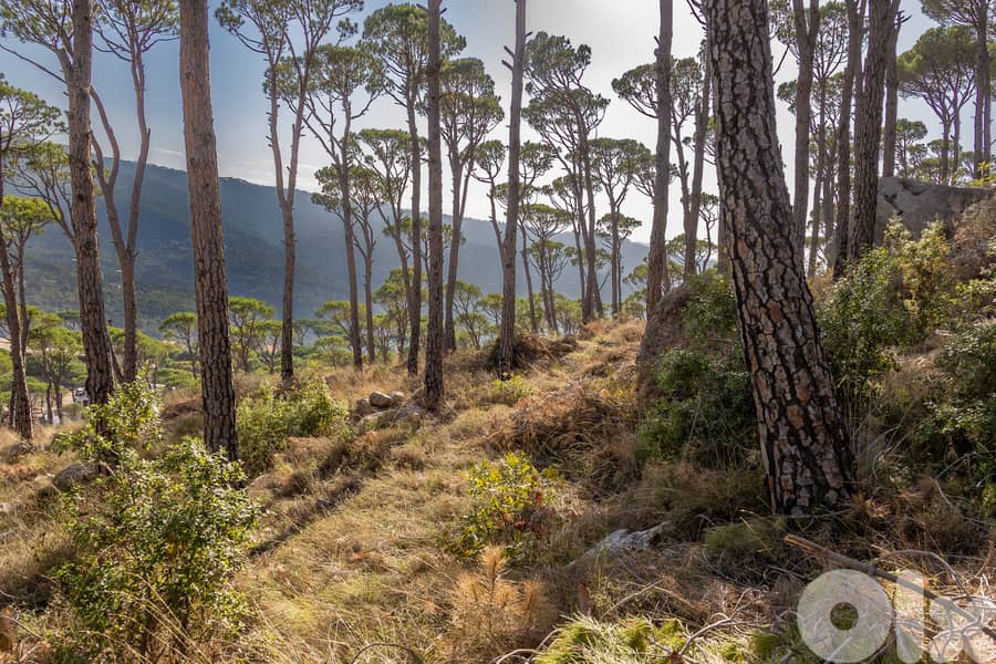 Development Land in Baabdat/Oyoun - أرض استثمارية مميزة في بعبدات–عيون 6