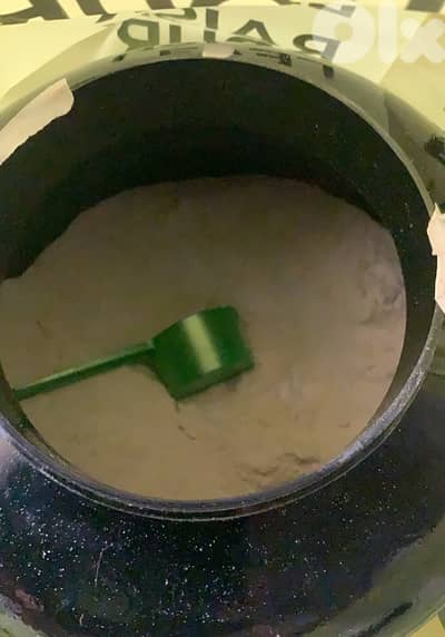 whey isolate mutritech usa 62 servings vanilla flavor