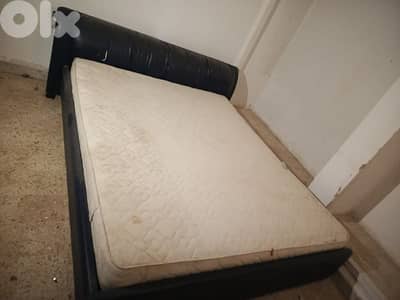 تخت مجوز جلد