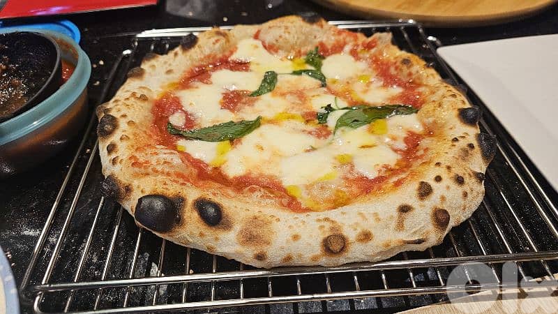 pizza oven Neapolitan style 450°c 3