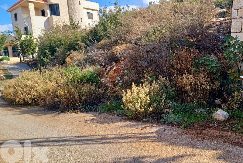 lands for sale in Deyrbella أرض للبيع في ديربللا 1