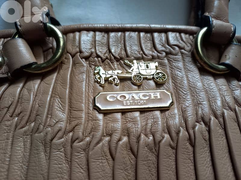 جزادين بحالة جيّدة 19