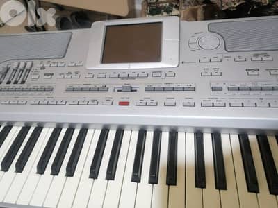 korg PA 800 ex