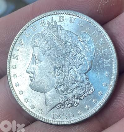 عملة واحد دولار أميركي مورغان صك مدينة سان فرانسيسكو سنة 1880s