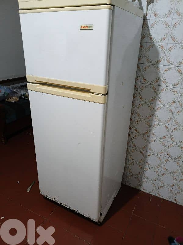 جونيه ذوق مصبح 0