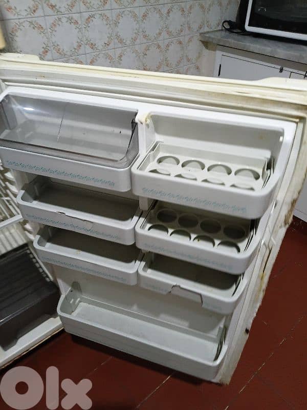 جونيه ذوق مصبح 1