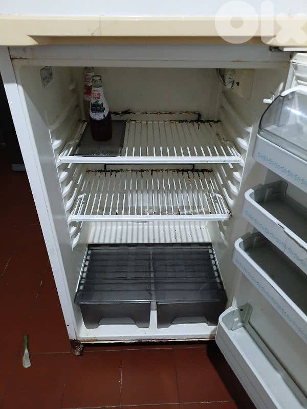 جونيه ذوق مصبح 2