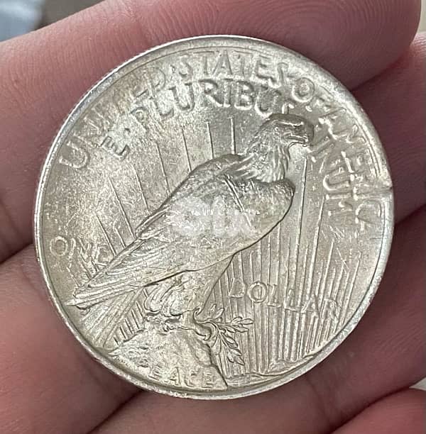 واحد دولار بيس فضة سنة ١٩٢٣ حالة سوبرpeace dollar 1923 1