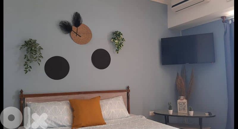 Chalet Studio For Daily Weekly Rent Fully Furnished 12