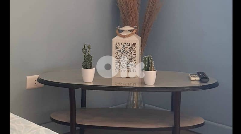 Chalet Studio For Daily Weekly Rent Fully Furnished 13