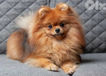 أحلى الأسعار