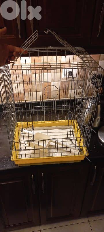 قفص ايطالي للببغاء او كروان او روز موجود ببيروت تلة الخياط او تبديل 0
