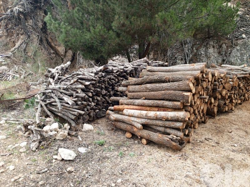 غزير كسروان 0