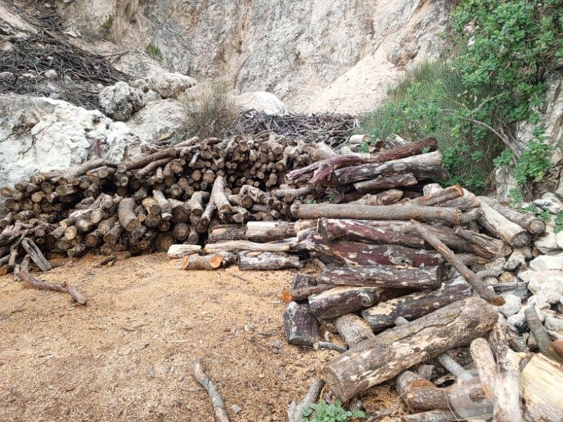 غزير كسروان 1