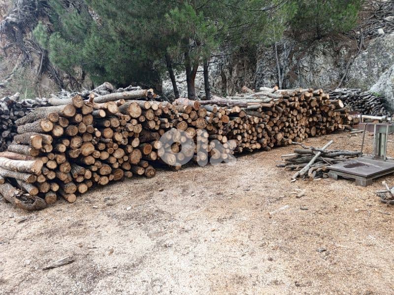 غزير كسروان 2