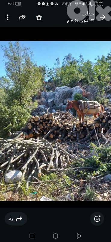 غزير كسروان 5