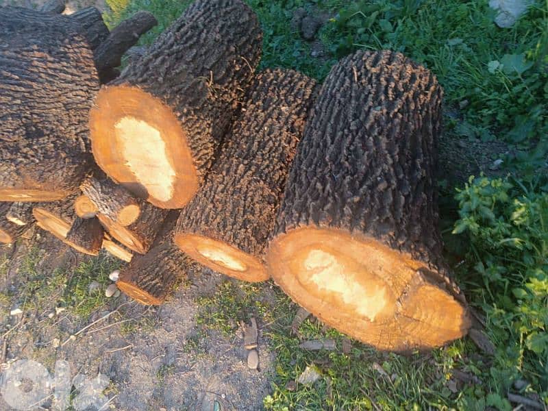 غزير كسروان 6