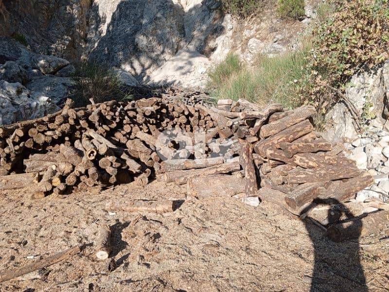 غزير كسروان 7